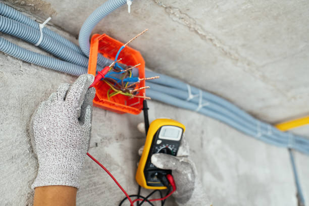 Best Electrical System Inspection  in Bad Axe, MI